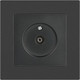 Миниатюра изображения товара Розетка INTRO Accent 6-301-07 / Б0063614 (графит)