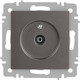 Миниатюра изображения товара Розетка INTRO Accent 6-301-09 / Б0063618 (титан)