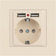 Миниатюра изображения товара Розетка INTRO Accent 6-410-02 / Б0063692 (слоновая кость)