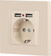 Миниатюра изображения товара Розетка INTRO Accent 6-410-02 / Б0063692 (слоновая кость)