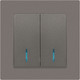 Миниатюра изображения товара Выключатель INTRO Accent 6-105-09 / Б0063525 (титан)