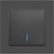 Миниатюра изображения товара Выключатель INTRO Accent 6-102-07 / Б0063434 (графит)