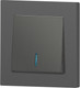Миниатюра изображения товара Выключатель INTRO Accent 6-102-07 / Б0063434 (графит)