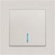 Миниатюра изображения товара Выключатель INTRO Accent 6-102-06 / Б0063467 (перламутр)