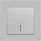 Миниатюра изображения товара Выключатель INTRO Accent 6-102-03 / Б0063478 (алюминий)