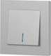Миниатюра изображения товара Выключатель INTRO Accent 6-102-03 / Б0063478 (алюминий)