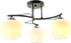 Миниатюра изображения товара Люстра Aitin-Pro НПБ 02-3х60-101 / XA1088B/3