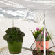 Миниатюра изображения товара Теплица Green Apple GA-House-3x-frame / Б0064207