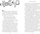 Миниатюра изображения товара Книга Азбука Нэко-кафе. Правила жизни кошек, твердая обложка (Шойом Анна)