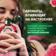 Миниатюра изображения товара Набор косметики для волос Herbal Essences Essences Аромат розы Шампунь 250мл+Бальзам 180мл