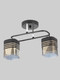Миниатюра изображения товара Потолочный светильник Aitin-Pro НПБ 02-2x60-101 / 70205/2 (черный/хром)