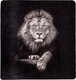 Миниатюра изображения товара Плед Arya Lion / 8680943247322 (150x200, черный)