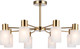 Миниатюра изображения товара Люстра Ambrella TR9584/8 BS (латунь)