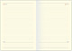 Миниатюра изображения товара Ежедневник InFolio Universe / I1646