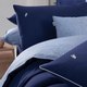 Миниатюра изображения товара Комплект постельного белья Sarev Fancy Dream 1.5сп / N344 MARITA v1/Mavi
