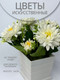 Миниатюра изображения товара Искусственное растение Merry Bear Home Decor EGB3121012 (белый)