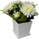 Миниатюра изображения товара Искусственное растение Merry Bear Home Decor EGB3121012 (белый)