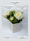 Миниатюра изображения товара Искусственное растение Merry Bear Home Decor EGB3121012 (белый)
