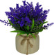 Миниатюра изображения товара Искусственное растение Merry Bear Home Decor EGB5524008 (26, фиолетовый)