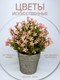 Миниатюра изображения товара Искусственное растение Merry Bear Home Decor EGB5524002 (24см, розовый)