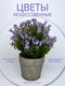 Миниатюра изображения товара Искусственное растение Merry Bear Home Decor EGB5524002 (24см, сиреневый)