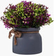 Миниатюра изображения товара Искусственное растение Merry Bear Home Decor EGB5524009 (19см, фуксия)