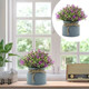 Миниатюра изображения товара Искусственное растение Merry Bear Home Decor EGB5524009 (19см, фуксия)