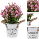 Миниатюра изображения товара Искусственное растение Merry Bear Home Decor EGB3124020 (24см, розовый)