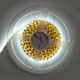 Миниатюра изображения товара Светодиодная лента General Lighting GLS-2835-120-9.6-12-IP20-PRO-6-5-KIT / 501422