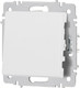 Миниатюра изображения товара Выключатель INTRO Accent 6-103-01М / Б0063476 (белый матовый)
