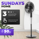 Миниатюра изображения товара Вентилятор Sundays Home RD-40A (черный)