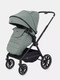 Миниатюра изображения товара Детская универсальная коляска Rant Moss 2 в 1 / RA321 (Green)