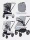 Миниатюра изображения товара Детская универсальная коляска Rant Moss 2 в 1 / RA321 (Grey)