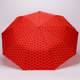 Миниатюра изображения товара Зонт складной Rain Berry 734-0308.2 (красный)