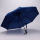 Миниатюра изображения товара Зонт складной Rain Berry 734-1399.1 (синий)