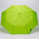 Миниатюра изображения товара Зонт складной Rain Berry 734-1399.3 (салатовый)