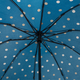 Миниатюра изображения товара Зонт складной Rain Berry 734-23331.1 (голубой/горох)