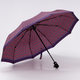 Миниатюра изображения товара Зонт складной Rain Berry 734-23338.1 (фиолетовый/ромбик)