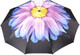 Миниатюра изображения товара Зонт складной Rain Berry 734-23340.2 (черный/голубой)