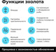 Миниатюра изображения товара Эхолот Rivertech 8 (сумка для эхолота)
