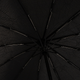 Миниатюра изображения товара Зонт складной Rain Berry 734-31203.1 (черный)
