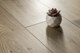 Миниатюра изображения товара Ламинат Viva Floor (Гомельдрев) Gold Label Эпик Блонд