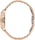 Миниатюра изображения товара Часы наручные женские Daniel Klein 13583-6