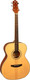Миниатюра изображения товара Акустическая гитара Flight AG-210 NA