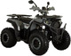Миниатюра изображения товара Квадроцикл AVM Hammer 200 (серый)