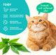Миниатюра изображения товара Наполнитель для туалета Cat's choice Комкующийся растительный тофу зеленый чай (6л/2.5кг)