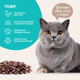Миниатюра изображения товара Наполнитель для туалета Cat's choice Комкующийся растительный тофу Кофе (6л/2.5кг)