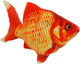 Миниатюра изображения товара Подушка-игрушка Malvina Рыбка Золотая / 15.157.1