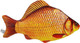 Миниатюра изображения товара Мягкая игрушка Malvina Рыбка Карп / 15.157.2