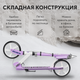 Миниатюра изображения товара Самокат городской Ricos Shine JSCM6698 (фиолетовый)